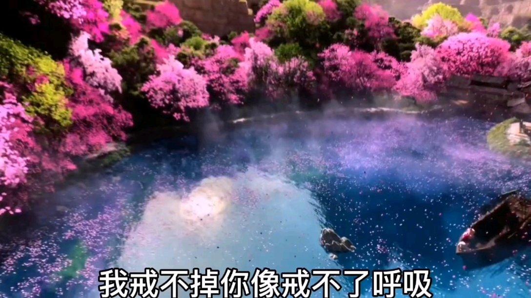 安全的港口
