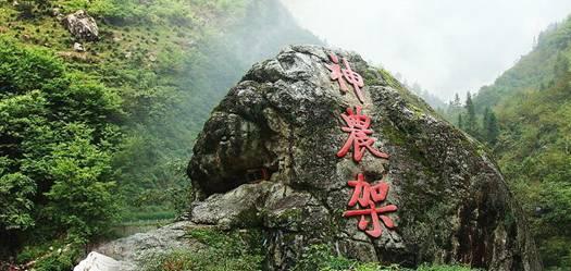 我市交通运输系统做好运力保障